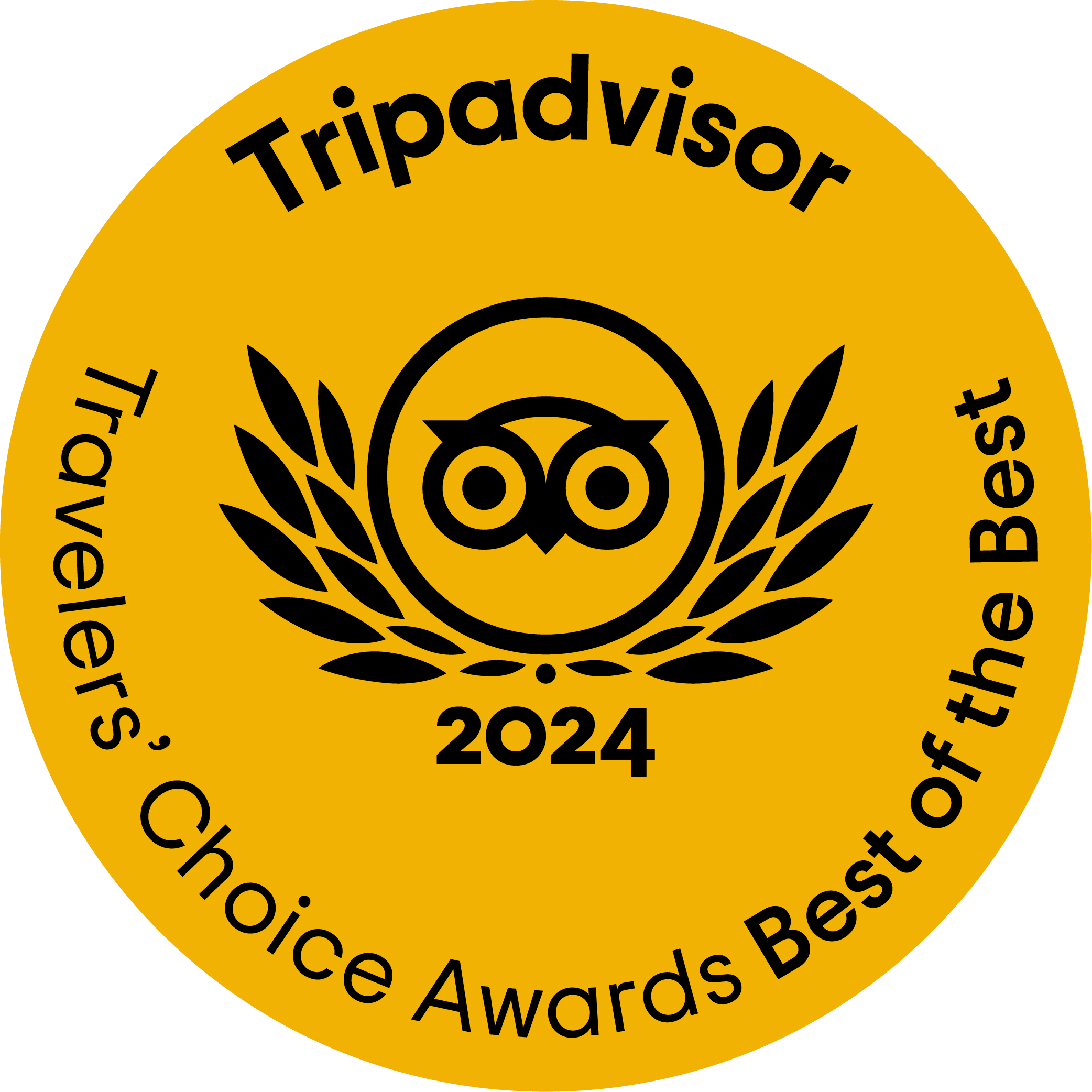 Tripadvisor Travellers Choice Awards 20024 winner
